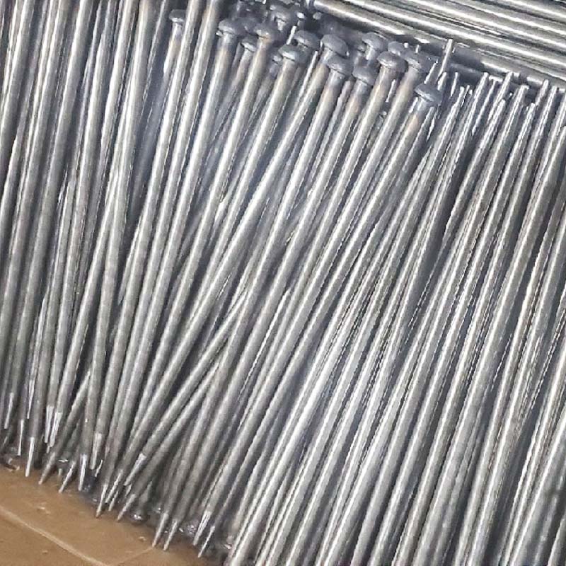 Tại sao chọn cổ phần cảnh quan có thể khiến khách hàng không lo lắng hơn?